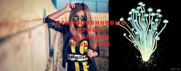 PSILOCYBIN Арсеньев
