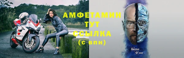 мет Алексин