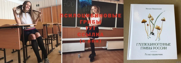 прущая мука Армянск