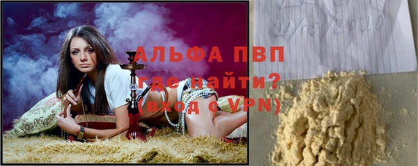 spice Аркадак