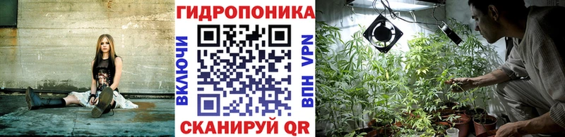 Шишки марихуана White Widow  Звенигово 